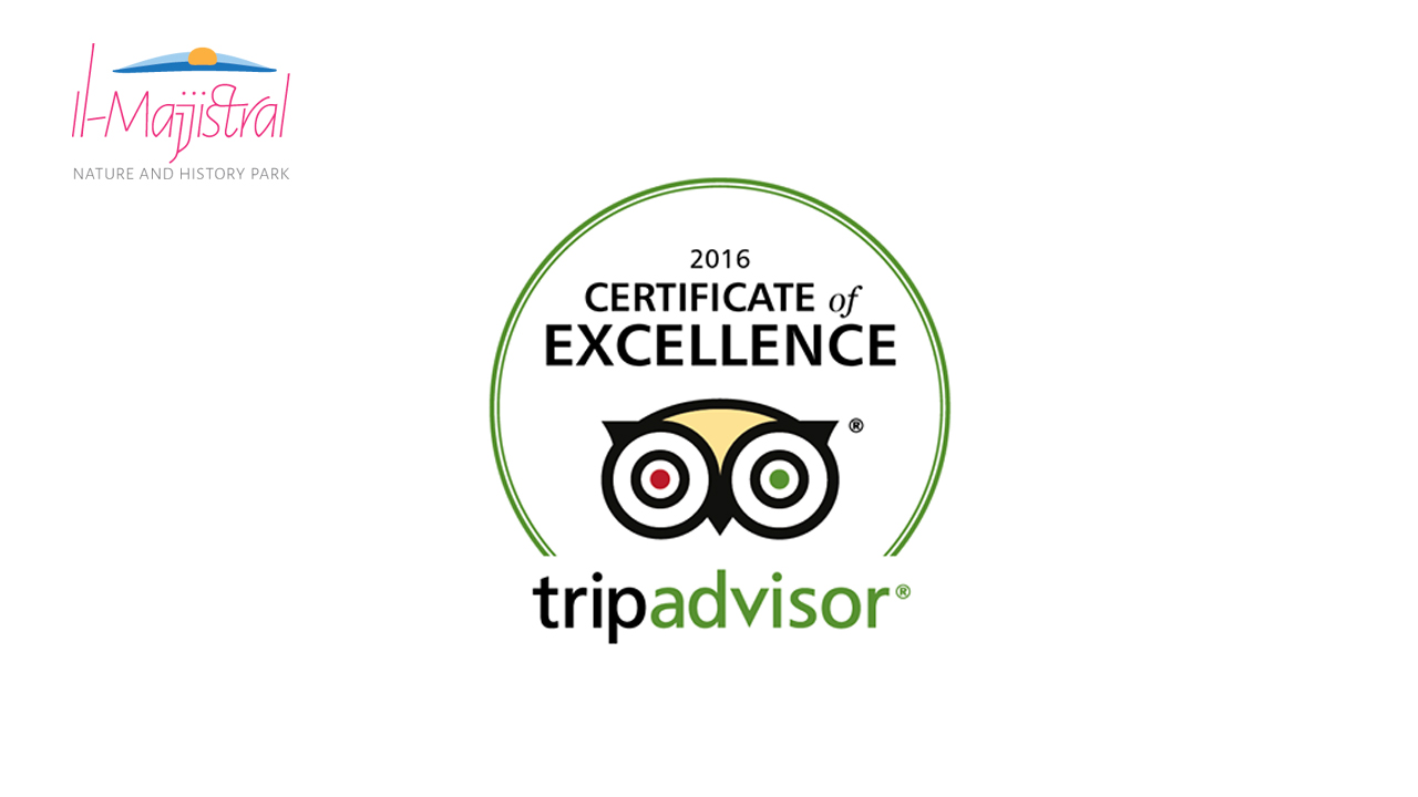 Tripadvisor 2016, Certificate of Excelence