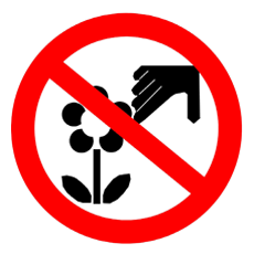 No removal a plants