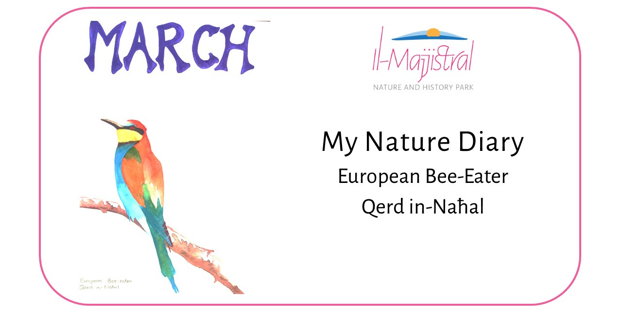 Nature Diary-Session 3