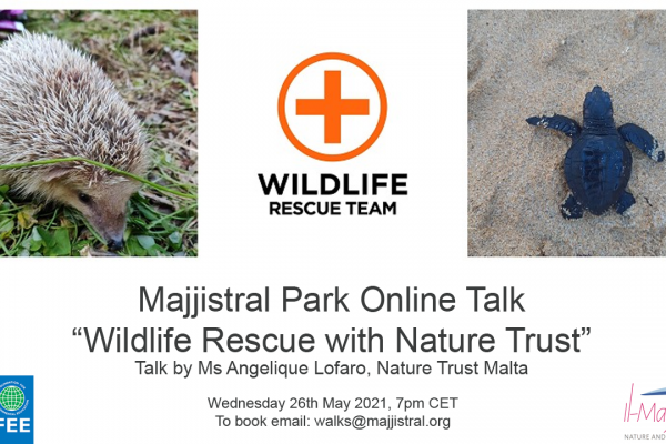 Wildlife Rescue with Nature Trust