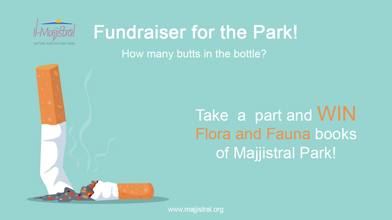 Fundraiser for the Park - June
